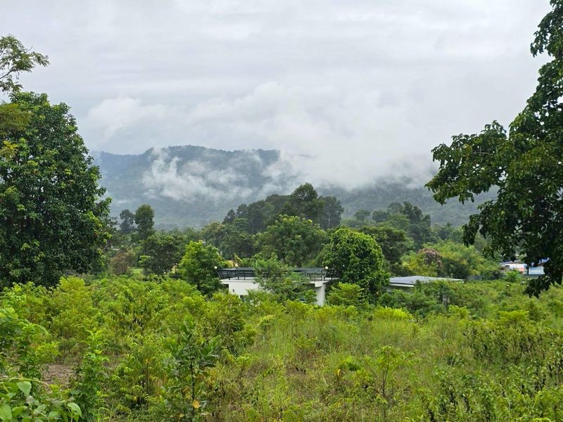 ขายบ้านสวนผลไม้รวม บนเนินเขา วิวเขาเดียวกับภูตะลึงคาเฟ่ ต.เขาพระ อ.เมืองนครนายก โฉนดครุฑแดงพร้อมโอน การเดินทางสะดวกอยู่ในเขตชุมชน