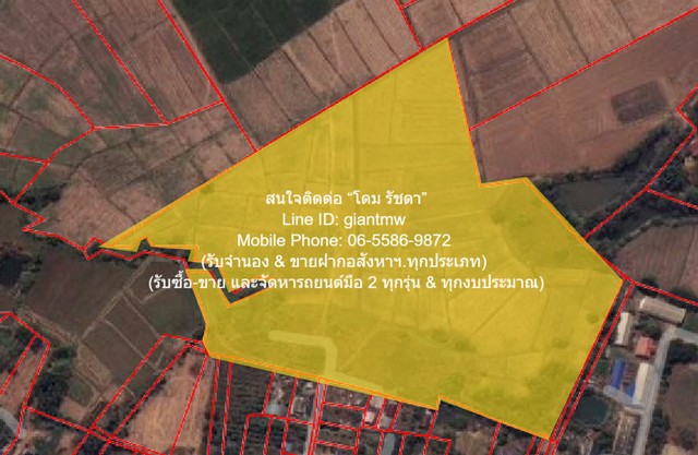 ที่ดิน ขายที่ดินทุ่งนาข้าว ต.ระวิง อ.เมืองเพชรบูรณ์ จ.เพชรบูรณ์ 51-2-87 ไร่   7800000 บาท.  51 ไร่ 2 NGAN 87 Square Wah ราคางาม เพชรบูรณ์   