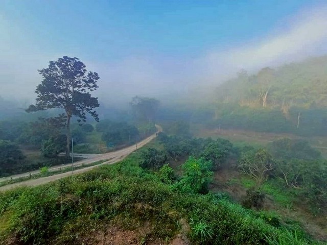 ขายขาดทุน บ้านพร้อมที่ดิน วิวสวย โซนเชียงดาว       