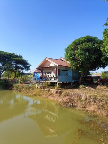 ขายที่ดินทำเลทอง 20 ไร่ ตำบลสีออ อำเภอกุมภวาปี จังหวัดอุดรธานี