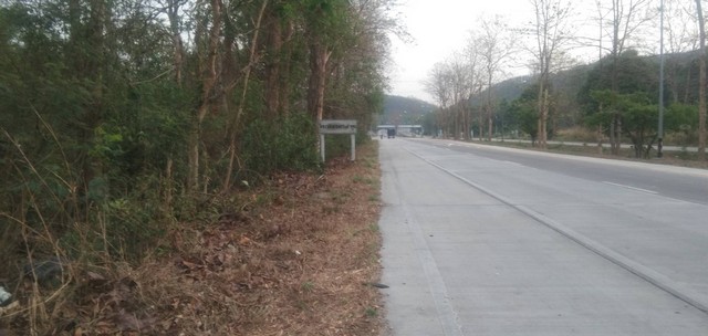 ขายที่ดิน 16ไร่69ตรว. 21ลบ. ฟรีโอน ติดถนน11ซุปเปอร์ขาเข้าลำพูน ใกล้วิทยาลัยเกษตรลำพูน ต.ทาสบเส้า อ.แม่ทา ลำพูน