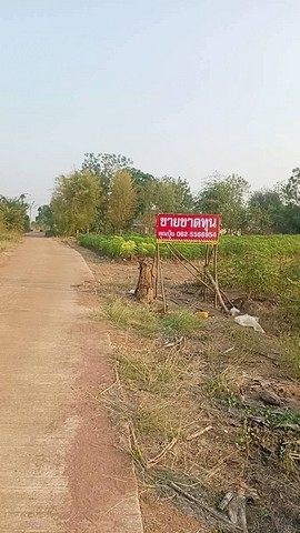 ขายที่ดินกาญจนบุรี ขายที่ด่านมะขามเตี้ย ต.กลอนโด อ.ด่านมะขามเตี้ย จ.กาญจนบุรี