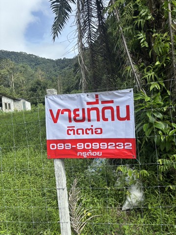 ขายด่วนที่ดินท่ามกลางธรรมชาติ อำเภอเมือง จังหวัดระนอง เนื้อที่ 6 ไร่