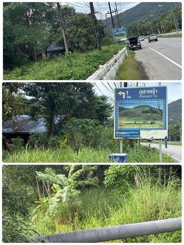 ขายที่ดิน ติดถนนเพชรเกษม ตรงข้ามน้ำตกหงาว อำเภอเมือง จังหวัดระนอง เนื้อที่ 10 ไร่ 65 ตารางวา