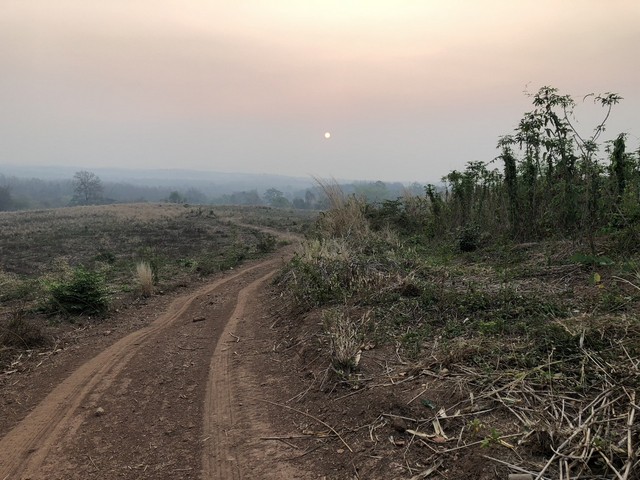 โปรปังทรัพย์ดีปลายปี68 ธรรมชาติเนินเขา ที่ดินโฉนดแบ่งขาย หล่มเก่า เพชรบูรณ์ ใกล้ภูทับเบิก โทร 0968821857
