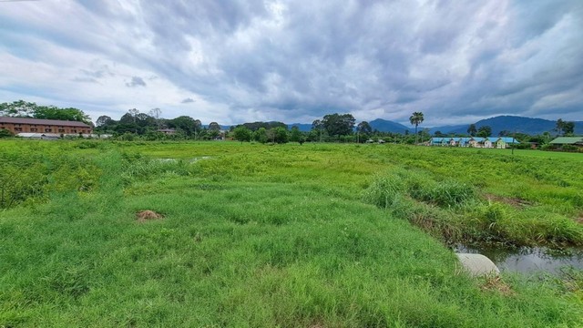 ขายที่ดิน 2 ไร่ ต.หินตั้ง เมืองนครนายก ถนน 4 เลน เดินทางสะดวก!