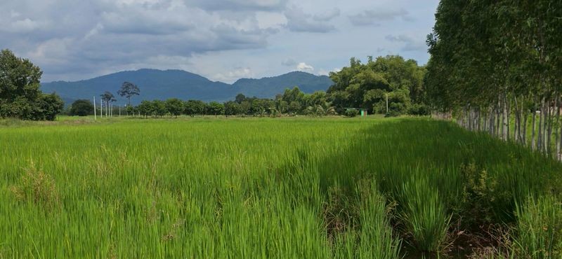 ขายที่ดินสวย ติดถนนลาดยาง วิวภูเขา ต.เขาเพิ่ม อ.บ้านนา จ.นครนายก การเดินทางสะดวกอยู่ในเขตชุมชน ใกล้ตัวอำเภอบ้านนา